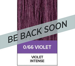 XG Color 66 Violet Intensifier