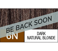 6N  DARK NATURAL BLONDE