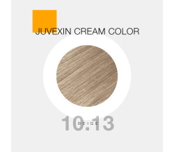 GK CREAM COLOR 10.13