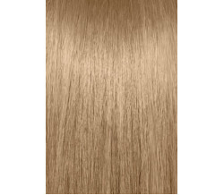  10G  LIGHTEST GOLD BLONDE