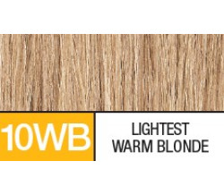 10WB  LIGHTEST WARM BLONDE
