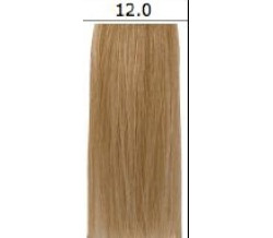 ORG 12.0 COLOR