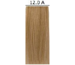 ORG 12.0A C COLOR