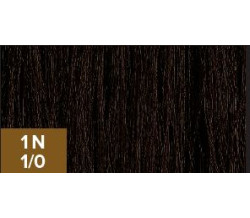 XG Color 1N