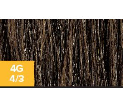 XG Color 4G