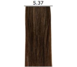 ORG 5.37 C COLOR