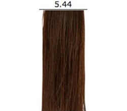 ORG 5.44 C COLOR