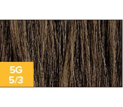 XG Color 5G