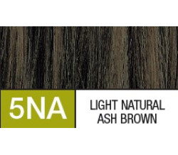5NA LIGHT NATURAL ASH BROWN 