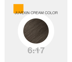 GK CREAM COLOR 6.17