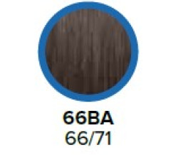 COLOR XG COVERSMART 66BA