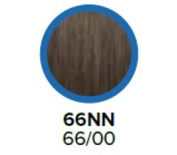 COLOR XG COVERSMART 66NN