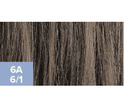 XG Color 6A