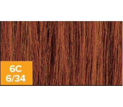 XG Color 6C