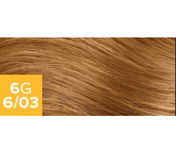 The Demi 6G