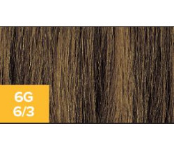 XG Color 6G