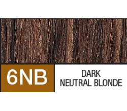 6NB  DARK NEUTRAL BLONDE