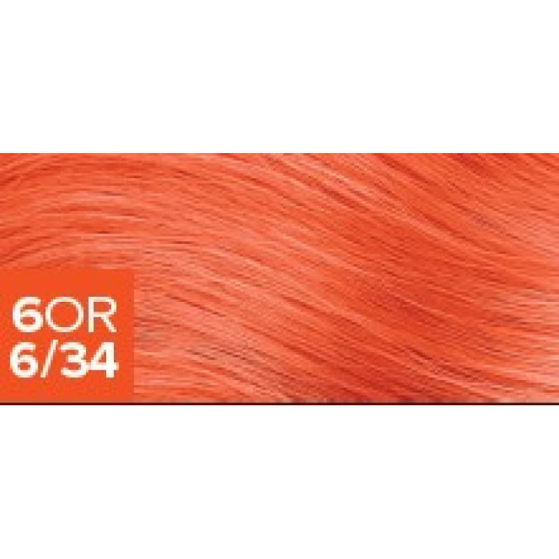 The Demi 6OR