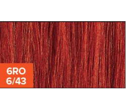 XG Color 6RO