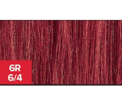 XG Color 6R