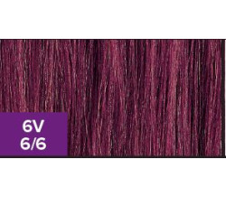 XG Color 6V