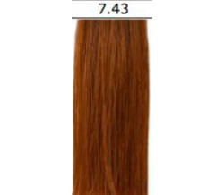 ORG 7.43 C COLOR