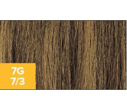 XG Color 7G