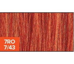 XG Color 7RO