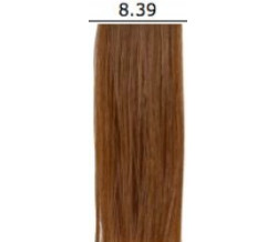 ORG 8.39 C COLOR