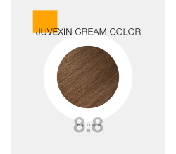 GK CREAM COLOR 8.8