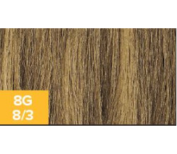 XG Color 8G