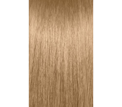 XG COLOR 9GB