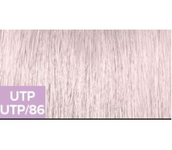 XG COLOR UTP