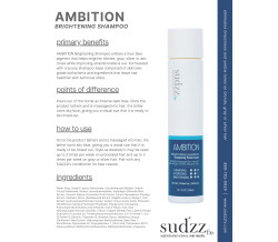 10Z AMBITION BRIGHTENING SHAMPOO