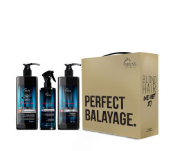 TRUSS PERFECT BALAYAGE KIT (ME-16, FD-16, IN-35)